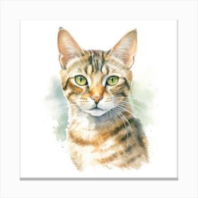 Hungarian Shorthair Cat Portrait Canvas Print