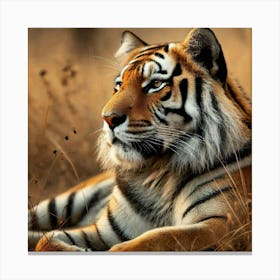 Tiger 4 Canvas Print