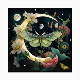 Moth On The Moon Canvas Print