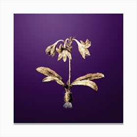 Gold Botanical Netted Veined Amaryllis on Royal Purple n.0564 Canvas Print
