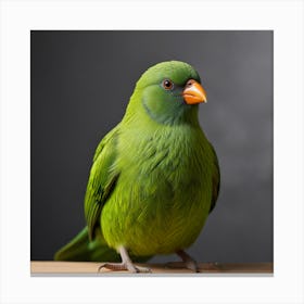 Green Bird Canvas Print