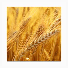 Golden Wheat 4 Canvas Print