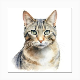 Ukrainian Bakhuis Cat Portrait 3 Canvas Print