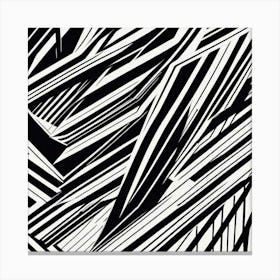 Abstract Black And White Lines Canvas Print