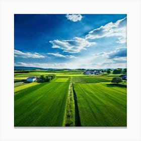 Green Farm Nature Field Landscape Countryside Agriculture Grass Gold Grow Japan Air Plan (3) Canvas Print