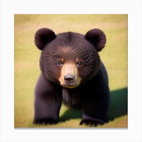 Black Bear Cub Canvas Print