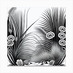 Black And White Botanical Illustration Canvas Print