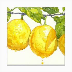 Lemons On A Branch Canvas Print