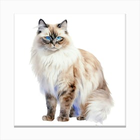 Cat With Blue Eyes Canvas Print