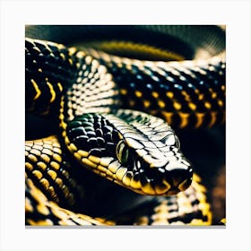 Black And Yellow Snake Canvas Print