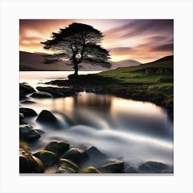 Lone Tree By The Water Canvas Print