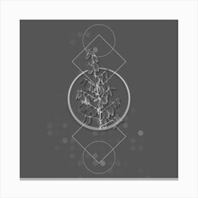 Vintage Adam's Needle Botanical with Line Motif and Dot Pattern in Ghost Gray n.0218 Canvas Print