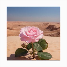 Pink Rose In The Desert Canvas Print