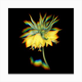 Prism Shift Kaiser's Crown Botanical Illustration on Black n.0080 Canvas Print