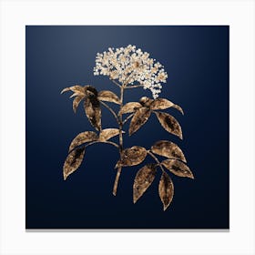 Gold Botanical Elderberry Flowering Plant on Midnight Navy n.1573 Canvas Print
