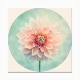 Dahlia 1 Canvas Print