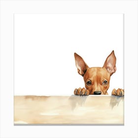 Chihuahua 14 Canvas Print