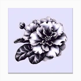 African Violet Canvas Print