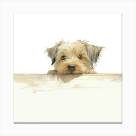 Yorkshire Terrier 14 Canvas Print