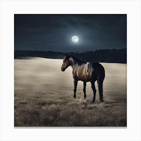 Horse In The Field At Night Canvas Print