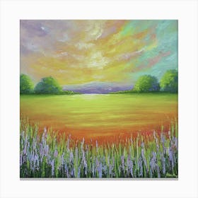 Sunset In The Field 1 Canvas Print