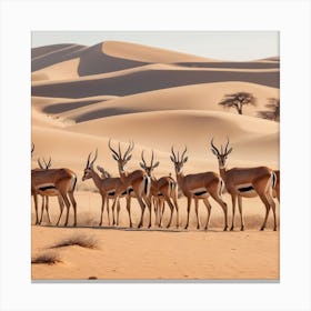 Herd Of Gazelles In The Sahara Canvas Print