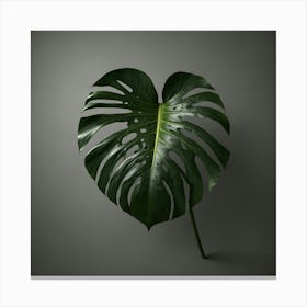 Monstera Leaf 1 Canvas Print