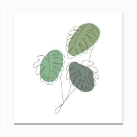 Monstera Leaves Canvas Print