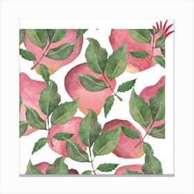 Pomegranate Canvas Print