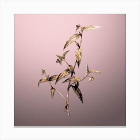 Gold Botanical Tagblume on Rose Quartz n.4946 Canvas Print