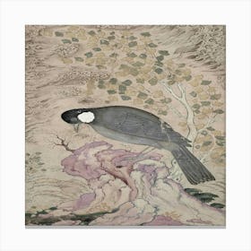 Bird Perched On A Rock Canvas Print