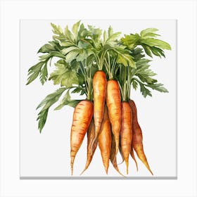Carrots 5 Canvas Print