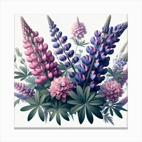 Lupines 1 Canvas Print