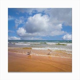 Seagulls On The Beach Canvas Print