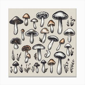 Collection Of Mushrooms Canvas Print