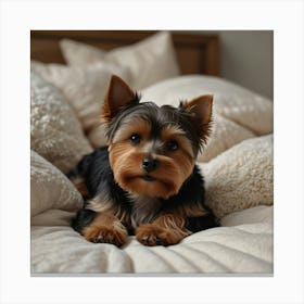 Yorkshire Terrier Dog On Bed Canvas Print