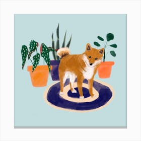 Dog with Plants Canvas Print