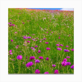 Wildflowers In The Meadow Canvas Print