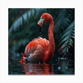 Flamingo 24 Canvas Print