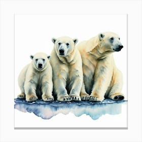 Polar Bears Canvas Print