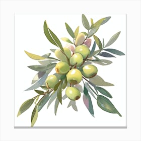 Watercolor Olive Canvas Print