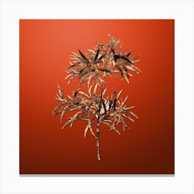 Gold Botanical Bitter Willow on Tomato Red n.0852 Canvas Print