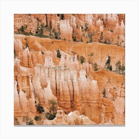 Bryce Canyon Rock Formations Canvas Print