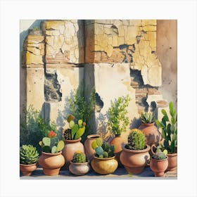 Watercolor painting of an old, weathered wall with cracked stone and peeling paint. The background features various sizes and shapes of terracotta pots on the shelf below. Each pot is filled with vibrant cacti or succulents, 7 Canvas Print