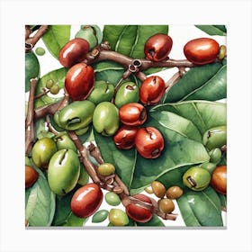 Coffee Berries 14 Canvas Print