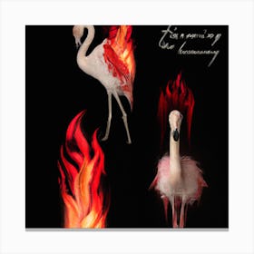 Flamingos On Fire Canvas Print