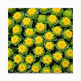 Yellow Flowers 16 Canvas Print