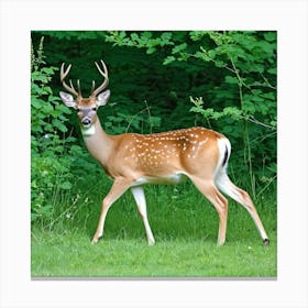 Deer In The Woods 85 Canvas Print