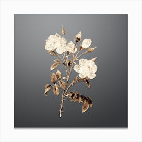 Gold Botanical White Rose on Soft Gray n.4650 Canvas Print