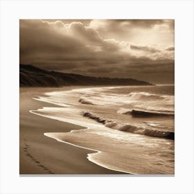 Sepia Canvas Print